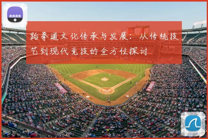 跆拳道文化传承与发展：从传统技艺到现代竞技的全方位探讨