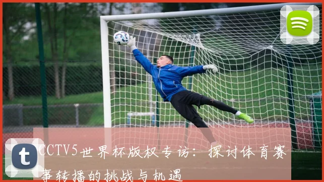 CCTV5世界杯版权专访:探讨体育赛事转播的挑战与机遇