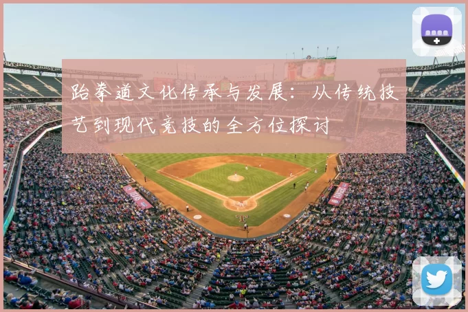 跆拳道文化传承与发展：从传统技艺到现代竞技的全方位探讨