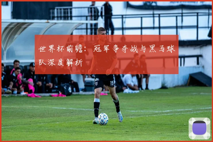 世界杯前瞻:冠军争夺战与黑马球队深度解析