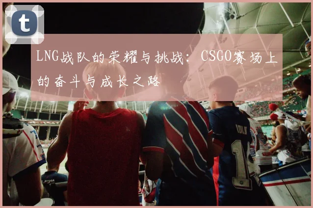LNG战队的荣耀与挑战：CSGO赛场上的奋斗与成长之路