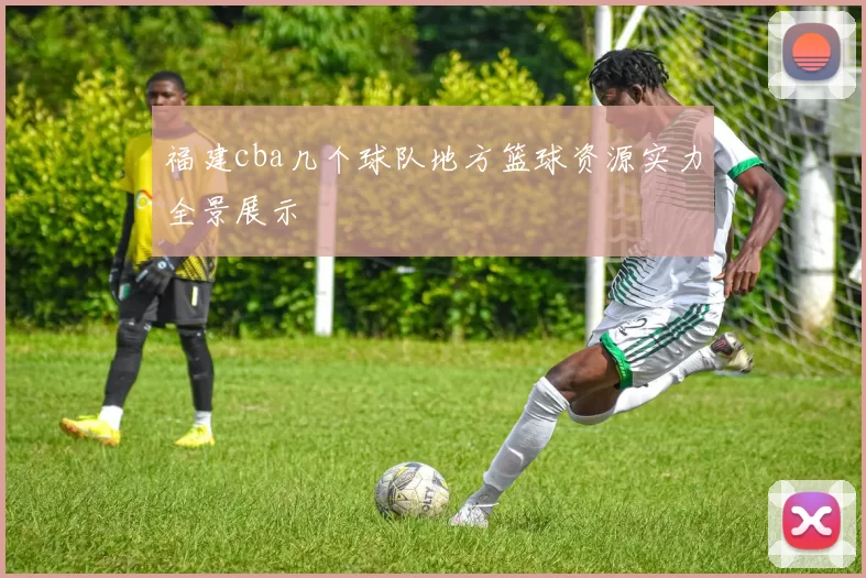 福建cba几个球队地方篮球资源实力全景展示