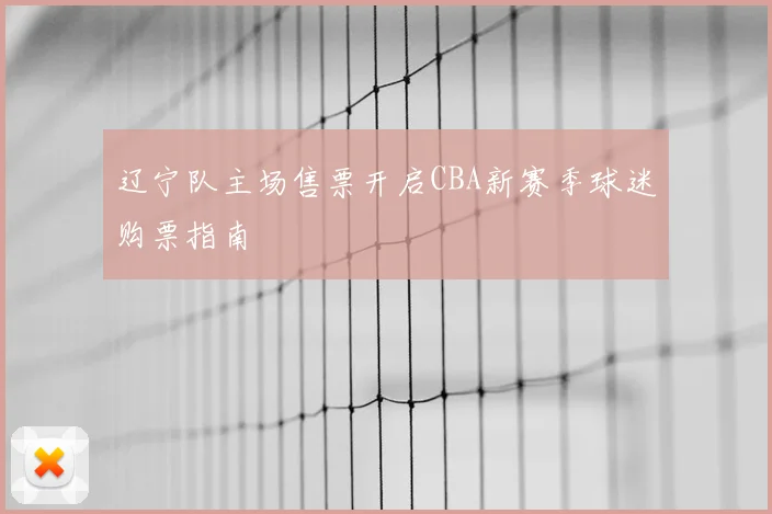 辽宁队主场售票开启CBA新赛季球迷购票指南