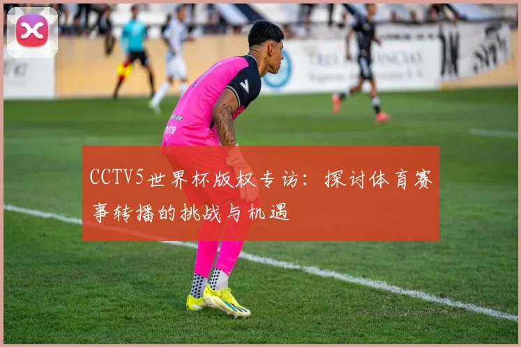 CCTV5世界杯版权专访:探讨体育赛事转播的挑战与机遇