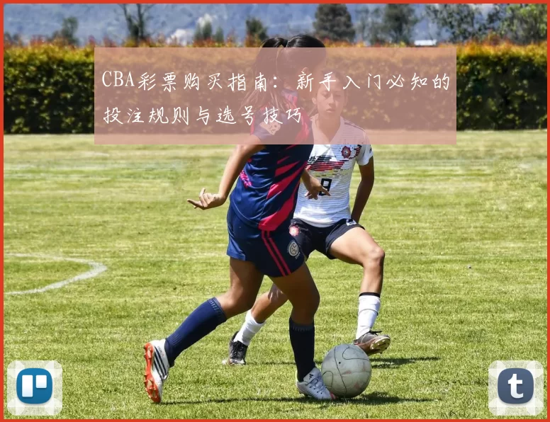 CBA彩票购买指南：新手入门必知的投注规则与选号技巧