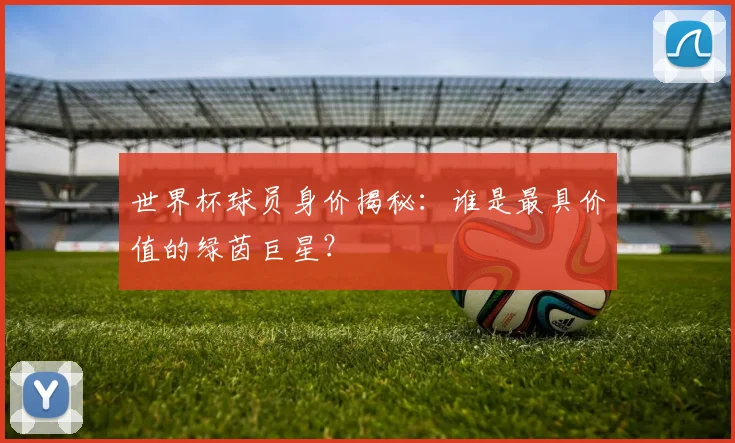 世界杯球员身价揭秘:谁是最具价值的绿茵巨星?