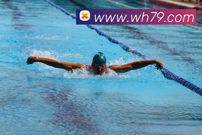 多媒体互动体验